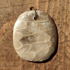 Petoskey Stone Pendant Polished Michigan Coral Fossil Beautiful Great Condition
